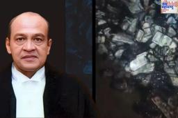 Judge Cash Row: उच्च न्यायालयाचे न्यायाधीश यशवंत वर्मा यांच्या घराजवळ सापडल्या जळालेल्या नोटा, पहा व्हिडिओ