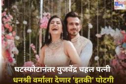 युजवेंद्र चहल आणि धनश्री वर्माच्या नात्याचा निर्णय ‘या’ दिवशी होणार; घटस्फोटानंतर क्रिकेटपटू पूर्व पत्नीला देणार ‘इतकी’ पोटगी