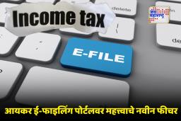 Income Tax Update: करदात्यांना मोठा दिलासा! आयकर विभागाने ई-फाइलिंग पोर्टलमध्ये केला ‘हा’ मोठा बदल