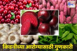 ‘या’ पाच पदार्थांचा आहारात समावेश करा आणि किडनीचे दुखणे पळवा.
