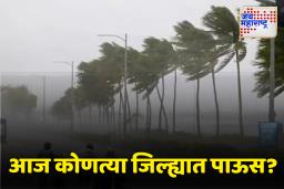 Maharashtra weather update: पुढील 24 तासांत काही ठिकाणी जोरदार पावसाची शक्यता; कोणत्या जिल्ह्यांना कोणता अलर्ट? जाणून घ्या