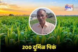 Farmer Story : आधी शेतकऱ्याची उडवली खिल्ली पण त्याने  मानली नाही हार, केली 200 दुर्मिळ झाडांची लागवड