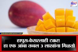 Most Expensive Mango: हापूस किंवा केसर नाही, तर ‘हा’ आहे सर्वात महागडा आंबा; चवीला साखरेपेक्षाही गोड, पण किंमत ऐकून चक्रावून जाल