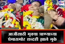 Viral Video : निर्मळ प्रेम! आजीला शेवटचा निरोप देणाऱ्या निष्पाप मुक्या प्राण्याच्या भावनाच सर्व काही बोलल्या, पाहून नेटकरी भारावले
