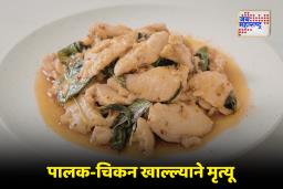 Food Poisoning : पालक-चिकन खाल्ल्याने एकाच कुटुंबातील तिघांचा मृत्यू; पौष्टिक आहार ‘विष’ कसा बनतो?  नेमकं काय आहे कारण?