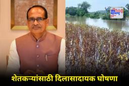 Crop Insurance Scheme: पीक विम्यात क्रांतिकारी बदल! वन्य प्राण्यांपासून आणि अतिवृष्टीमुळे नुकसान झाल्यास सरकार देणार मदत