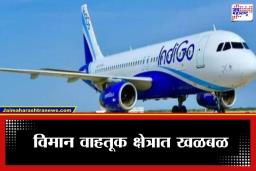 IndiGo Airlines : सरकारचा इंडिगोला मोठा दणका ! ‘या’ कारणामुळे 700 हून अधिक उड्डाणांमध्ये केली कपात