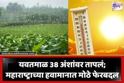 Maharashtra Weather Update: निसर्गाचा लहरी खेळ; कुठे उन्हाचा चटका, तर कुठे गारांचा वर्षाव, विदर्भ-मराठवाड्यावर पावसाचे सावट