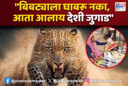 बाजारात बिबट्याच्या संरक्षणसाठी अनोखे यंत्र, बिबटे झाले सैरभैर…