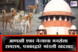 SC On Stray Dog : भटक्या कुत्र्यांवर सुप्रीम कोर्टात सुनावणी; उच्च न्यायालयाचे दोन न्यायाधीशही ठरले शिकार, न्यायालयाचा संताप