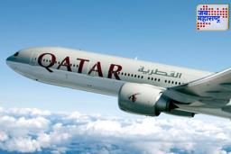 Qatar Airways: शाकाहारी जेवण न मिळाल्याने विमान प्रवाशाचा मृत्यू; कतार एअरवेजविरोधात 1.15 कोटींचा दावा