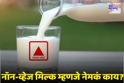 Non-Veg Milk: अमेरिकेचा भारतात ‘नॉन-व्हेज मिल्क’ विकण्याचा प्रयत्न; नेमकं काय आहे हे दूध?