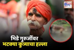 संभाजी भिडेंवर कुत्र्याचा हल्ला,डाव्या पायाचा घेतला चावा; सांगलीच्या माळी गल्लीतील घटना