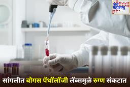 सांगलीत 185 बोगस पॅथॉलॉजी लॅबचा पर्दाफाश; राजकीय हस्तक्षेपामुळे कारवाईला ब्रेक