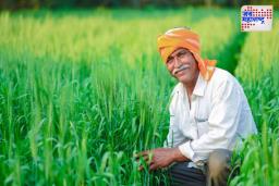 पीएम धन धान्य योजना; काय आहे योजनेचा फायदा