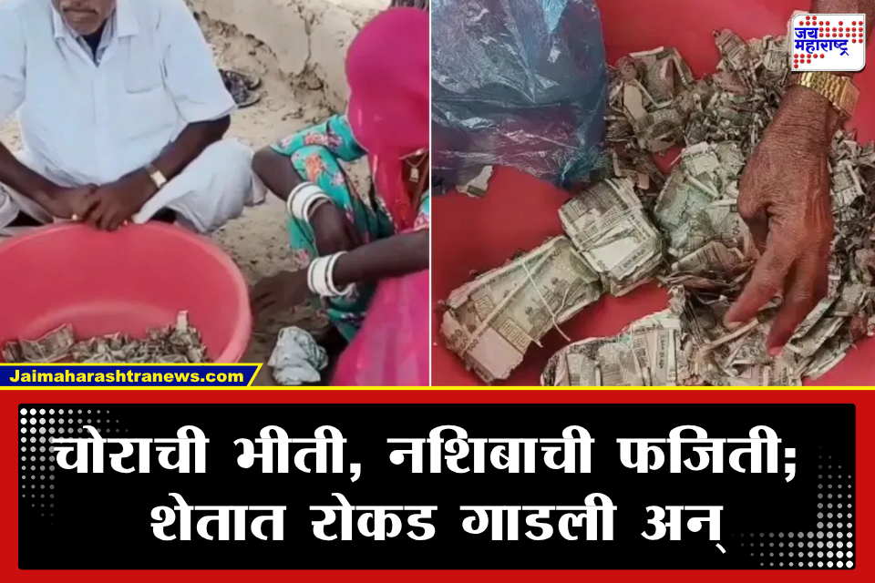 बापरे! चोराच्या भीतीने शेतात गाडली 5 लाखांची रोकड अन् जागाच विसरला; पुढे घडलं भलतंच..