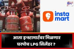 LPG Cylinder On Instamart: गॅस कनेक्शनचं टेन्शन संपलं; आता इन्स्टामार्टवरून अवघ्या काही मिनिटांत मिळणार LPG सिलेंडर ?