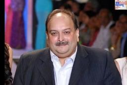 PNB घोटाळ्यात ED च्या चौकशीत आतापर्यंत काय घडले? मेहुल चोक्सीकडून किती पैसे वसूल झाले? जाणून घ्या