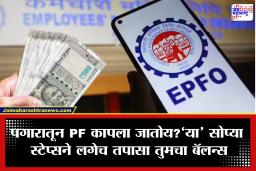 PF Balance Check: तुमच्या पगारातून कापलेला PF खरंच खात्यात जमा होतोय का? 5 मिनिटांत घरबसल्या करा खात्री