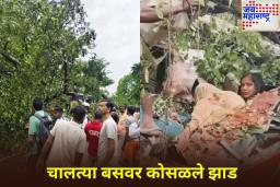 चालत्या बसवर कोसळले झाड; चालकासह 5 जणांचा मृत्यू