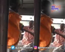 धावत्या बसमध्ये वृद्धांची हाणामारी व्हायरल