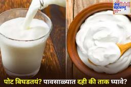 Curd And Buttermilk Benefits: दही की ताक? पावसाळ्यात आरोग्यासाठी कोणता पर्याय अधिक फायदेशीर?