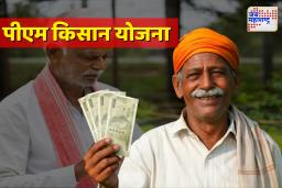 PM Kisan 20th Installment: PM-KISAN हप्ता आज खात्यात! 5 मिनिटांत कसा चेक कराल; जाणून घ्या