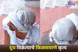 किळसवाणा प्रकार! डिलिव्हरीपूर्वी दूध विक्रेता कॅनमध्ये थुंकला; व्हिडिओ व्हायरल झाल्यानंतर अटक