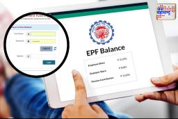 EPFO Passbook Lite : पीएफ बॅलन्स तपासणे झाले आणखी सोपे; EPFO ने दिला नवा पर्याय
