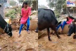 Viral Funny Video : गायीसमोर केला डान्स; ‘हं…. मला नाही आवडलं..’ बघा गायीनं कसं सांगितलं..