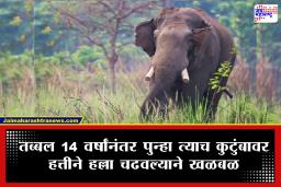 Dhurbe Elephant: बदला घेणारा ‘धुरबे’ हत्ती? चौदा वर्षांनंतर त्याच कुटुंबाचा माग काढत आणखी दोघांना चिरडले