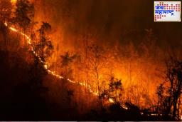 California Wildfires : कॅलिफोर्निया वाइन कंट्री, सेंट्रल ओरेगॉनमध्ये वणवे वेगाने पसरतायत; अग्निशमन दलाच्या जवानांची भीषण आगीशी झुंज