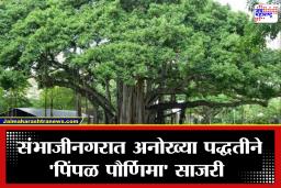Chhatrapati Sambhajinagar: ‘एका एका मिनिटाला मारतोय…’ पत्नीपीडित पुरुषांचा अनोखा एल्गार; पिंपळाला घातल्या उलट्या 108 प्रदक्षिणा