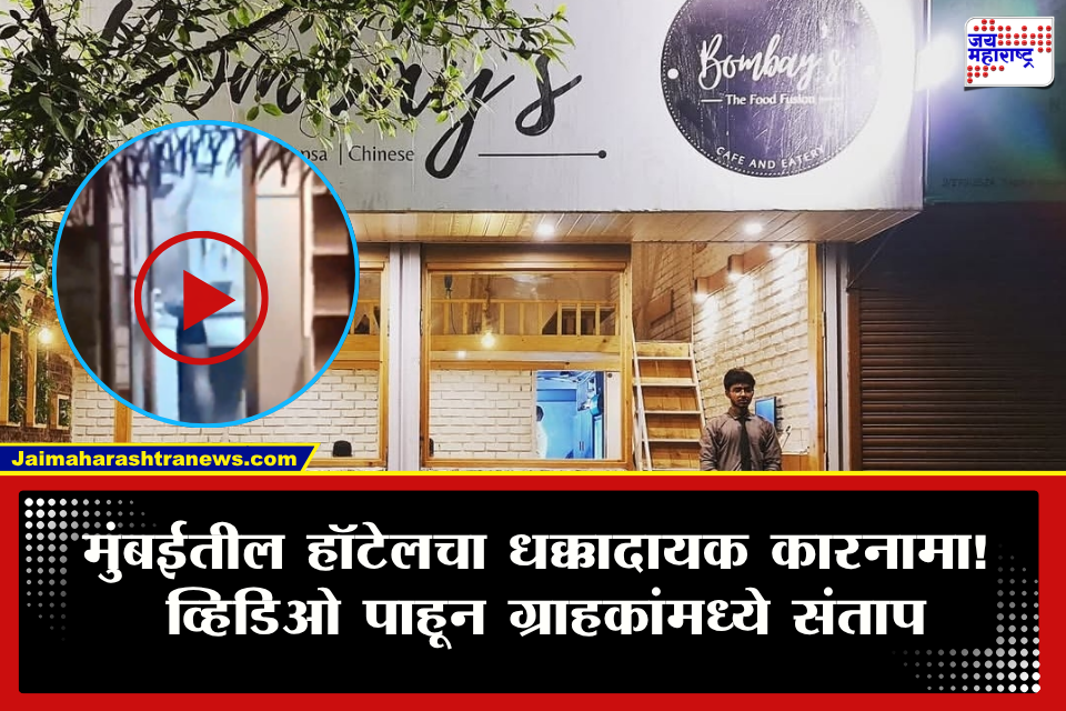 Vikhroli Hotel Viral Video : मुंबईत हॉटेलमध्ये धक्कादायक प्रकार! जेवण बनवण्याच्या भांड्यातच कर्मचाऱ्याची आंघोळ; VIDEO व्हायरल