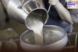 Adulteration Crackdown In Mumbai: मुंबईत FDA ची मोठी कारवाई! 218 किलो बनावट चीज आणि 478 लिटर भेसळयुक्त दूध नष्ट
