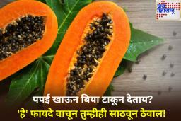 Benefits of Papaya Seeds: पपईच नव्हे तर त्याच्या बिया देखील आरोग्यासाठी खजिना! योग्य वेळ आणि सेवनाची पद्धत जाणून घ्या