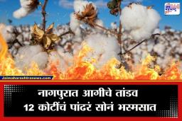 Nagpur Cotton Fire: पांढऱ्या सोन्याची राख, जिनिंगला लागलेल्या आगीत 18 हजार क्विंटल कापूस जळून खाक