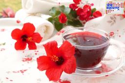 Hibiscus Tea : जास्वंदाचे फूल आरोग्यासाठी वरदान! आयुर्वेदात सांगितलंय याचं महत्त्व