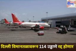 दिल्ली विमानतळावरून 114 उड्डाणे रद्द होणार; काय आहे यामागचं कारण? जाणून घ्या