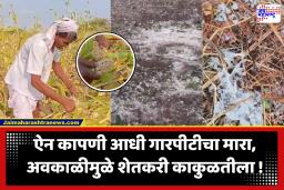 Maharashtra Unseasonal Rain – Hailstorm : राज्यातील या जिल्ह्यांमध्ये गारपीट-वादळाचा कहर; शेतकरी हवालदिल, पुढील 2 दिवस चिंतेचे