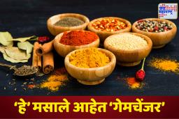 Kitchen Secrets: साधं जेवणही रेस्टॉरंटसारखं चविष्ट कसं लागतं? स्वयंपाकघरातील ‘या’ मसाल्यांमध्ये दडलंय गुपित