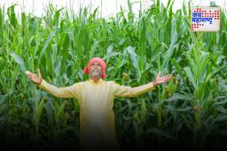 PM Dhan Dhanya Krushi Yojana:: 100 जिल्ह्यांतील शेतकऱ्यांना मिळणार आनंद; पंतप्रधानांच्या नवीन घोषणेमुळे बऱ्याच गोष्टी बदलतील