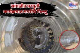 सांगलीत घरगुती कार्यक्रमात मगरीचे पिल्लू