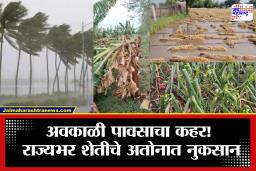 Unseasonal Rain Maharashtra: अवकाळी पावसाचे तांडव! राज्यात गारपिटीने शेती उद्ध्वस्त; कांदा, आंबा, द्राक्ष पिकांचे मोठे नुकसान