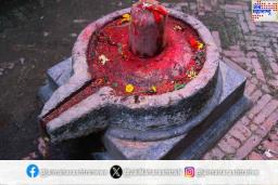 महाशिवरात्रीच्या दिवशी शिवलिंगावर अर्पण करा ‘या’ वस्तू; न मागताही महादेव देतील आशीर्वाद