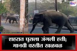 Wild Elephant Viral Video : शहरात जंगली हत्तीचा थरार! नागरिकांची धावपळ; वाढता मानव-वन्यजीव संघर्ष चिंताजनक