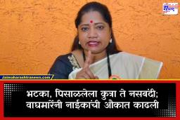 Jyoti Waghmare vs Ganesh Naik : नाईकांची शिंदेंवरील टीका जिव्हारी, ज्योती वाघमारेंनी थेट औकात काढली