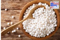 Sabudana Good for Diabetes: मधुमेह असणारे लोक साबुदाणा खिचडी खाऊ शकतात का ?, जाणून घ्या