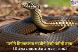 मेरठमध्ये आणखी एक हत्याकांड! पत्नीने प्रियकराच्या मदतीने केली पतीची हत्या; 10 वेळा सापाला दंश करायला लावलं