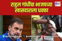 राहुल गांधींचा भाजपच्या खासदाराला धक्का